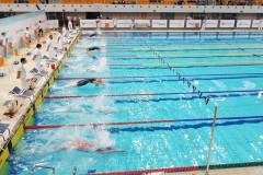 International Swimming Cup Poznań 2017